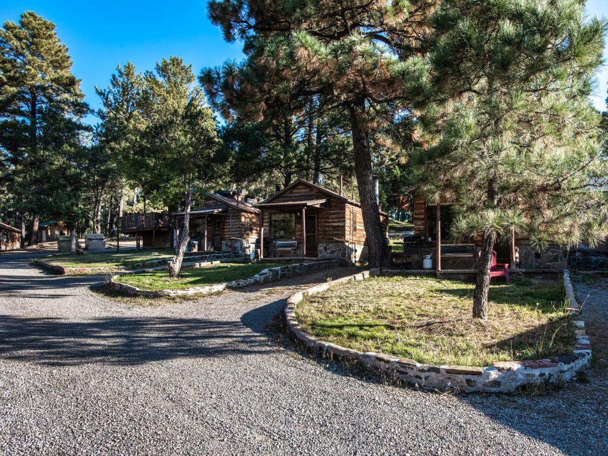 Destiny Cabin, 2 Bedrooms, Fireplace, Midtown, Sleeps 7 Руидозо Экстерьер фото