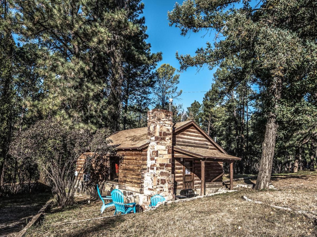 Destiny Cabin, 2 Bedrooms, Fireplace, Midtown, Sleeps 7 Руидозо Экстерьер фото